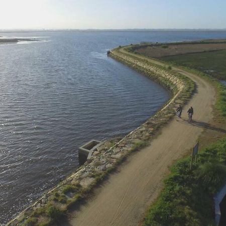 Maison Proche De La Mer Murtosa المظهر الخارجي الصورة