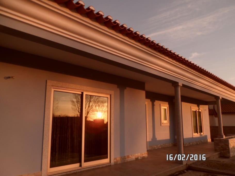 Maison Proche De La Mer Murtosa المظهر الخارجي الصورة